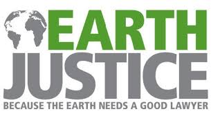 Earthjustice International Program For Development